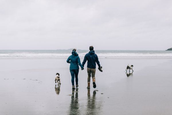 dog-friendly-cottages-wales