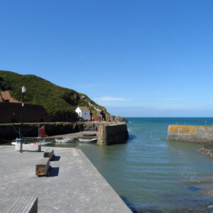 St Davids Escapes