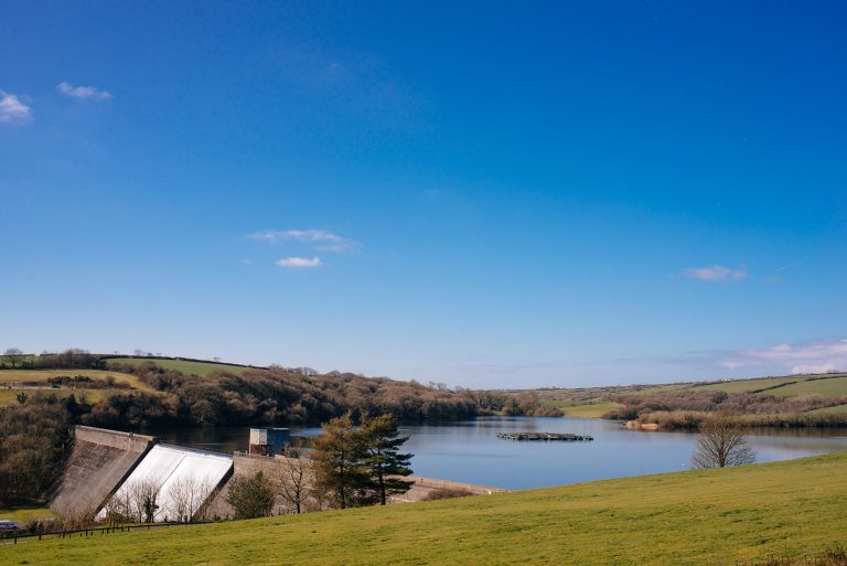 136519124_4002912376387916_4726427178239748326_n