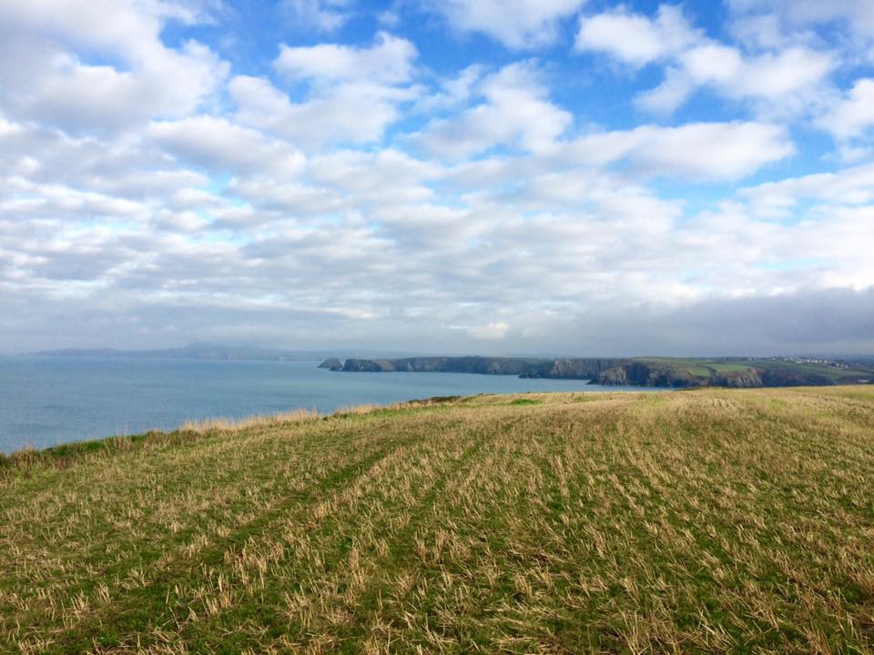 coastal st davids escapes