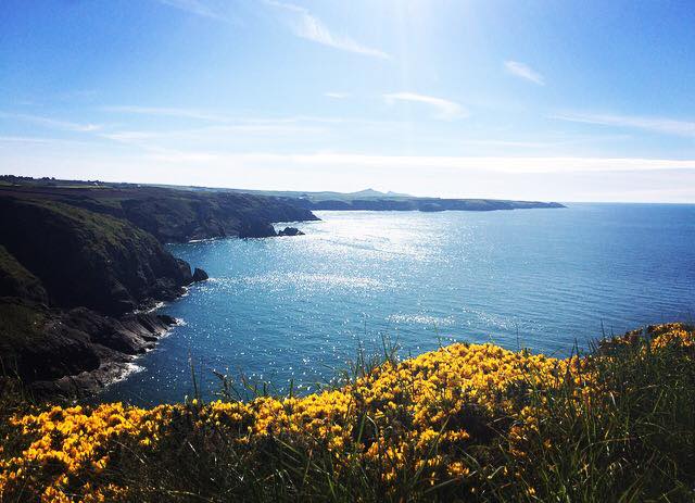 druidstone st davids escapes