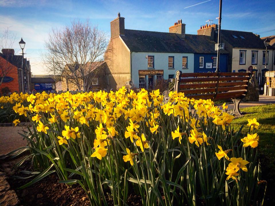 st davids day st davids escapes