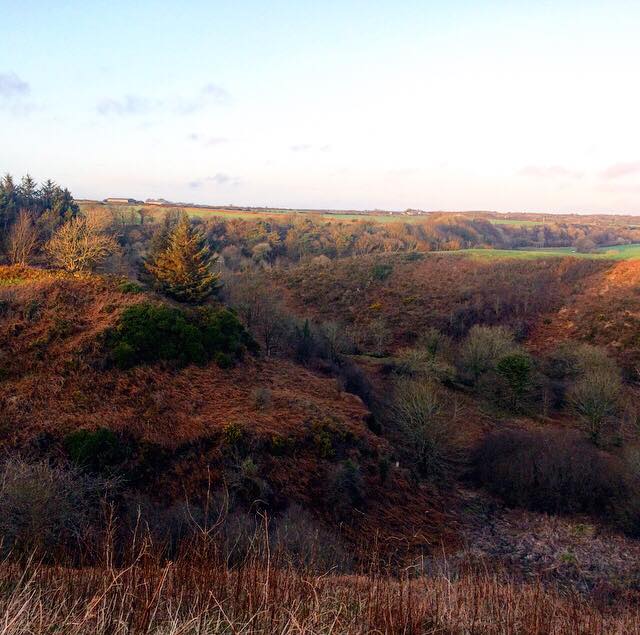 Middle Mill St Davids Escapes