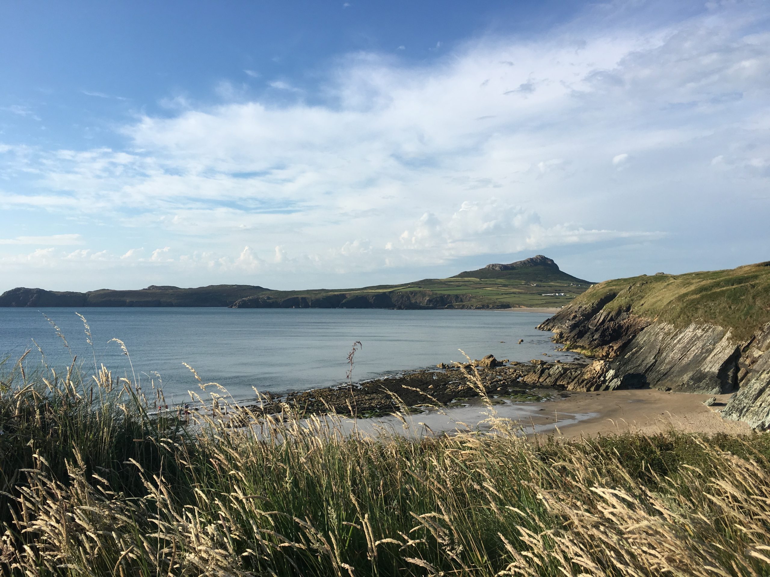 whats on pembrokeshire 2019