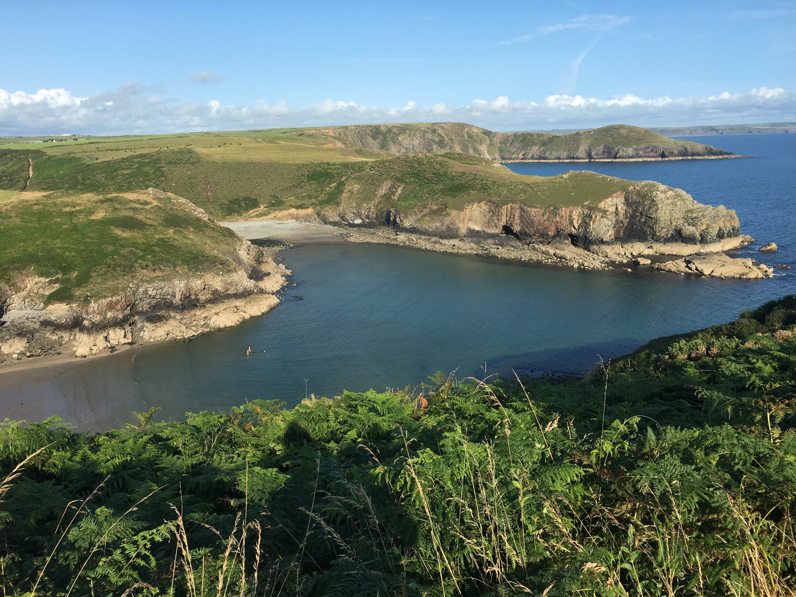 Coast Solva St Davids Escapes