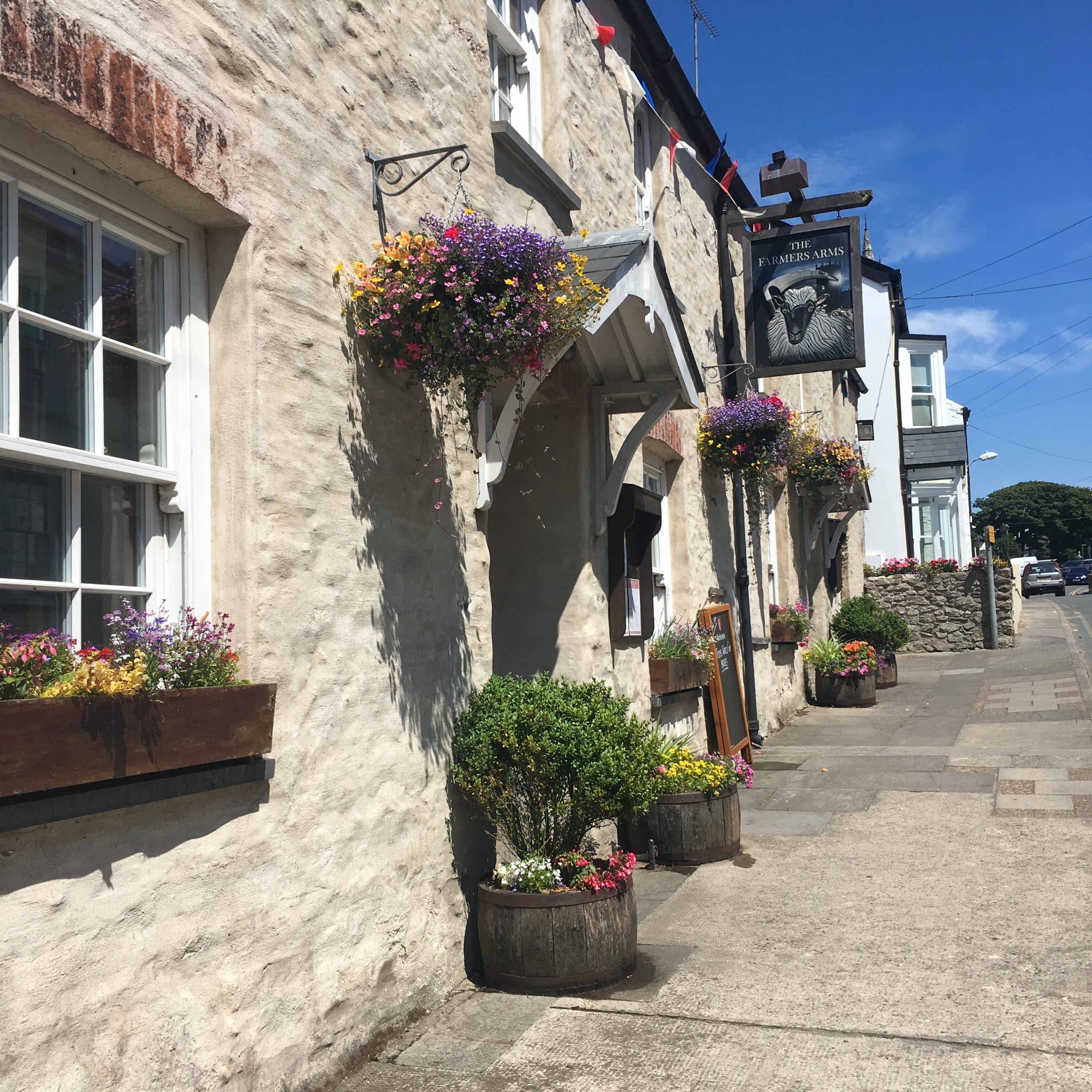 Farmers Arms, St Davids - Dog-Friendly Pub