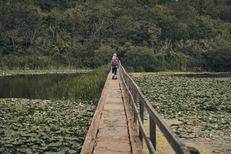 Walking at Bosherston Lilly Ponds, Pembrokeshire, Wales, UK