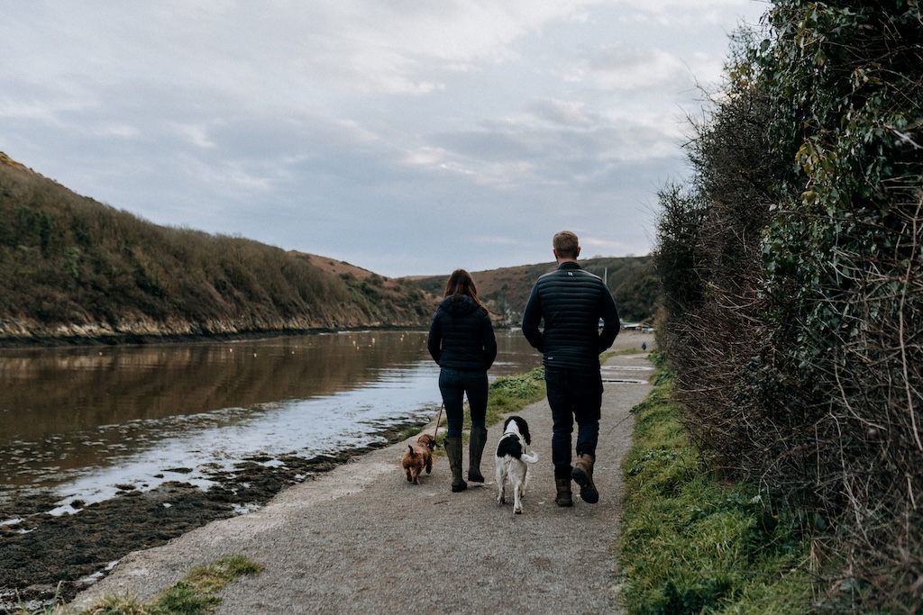 solva-dog-walk