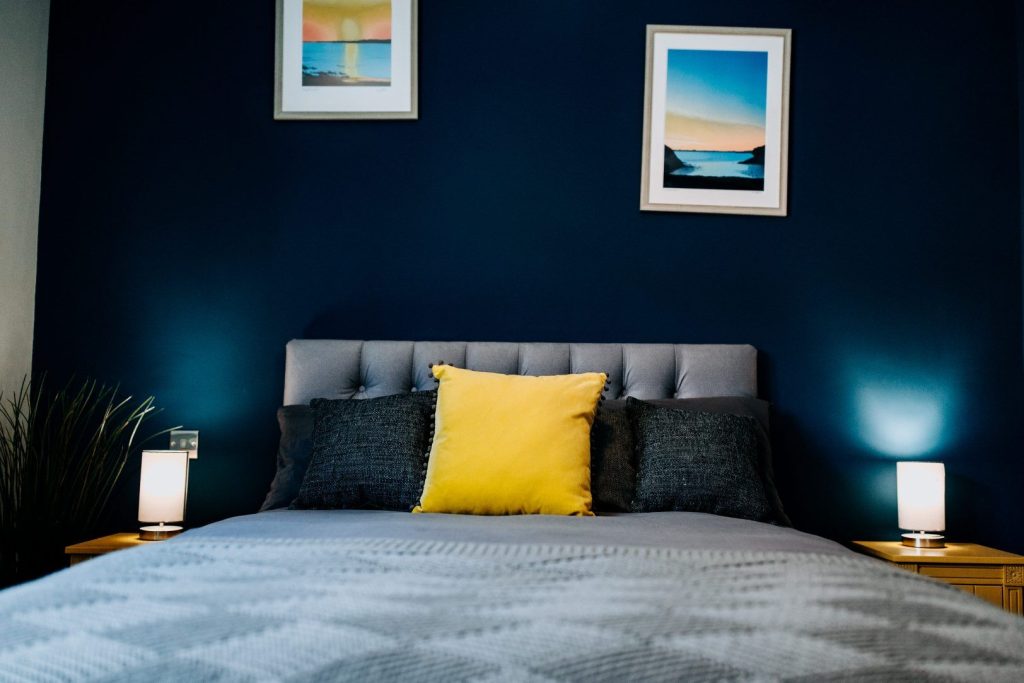 The Nest St Davids Double Bedroom