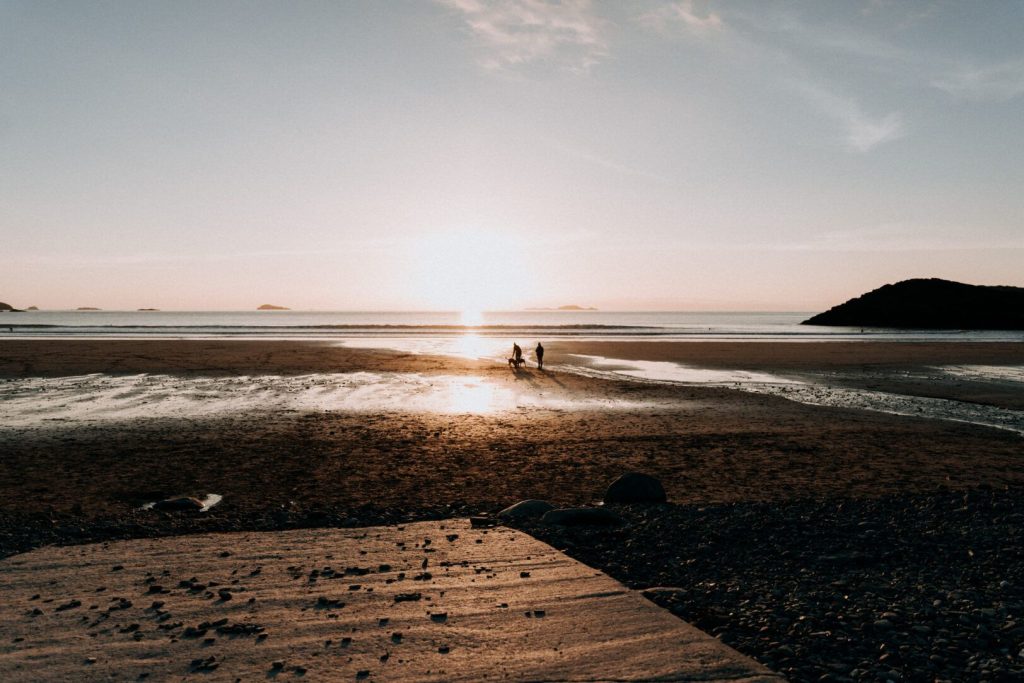 Whitesands Beach sunset dogs