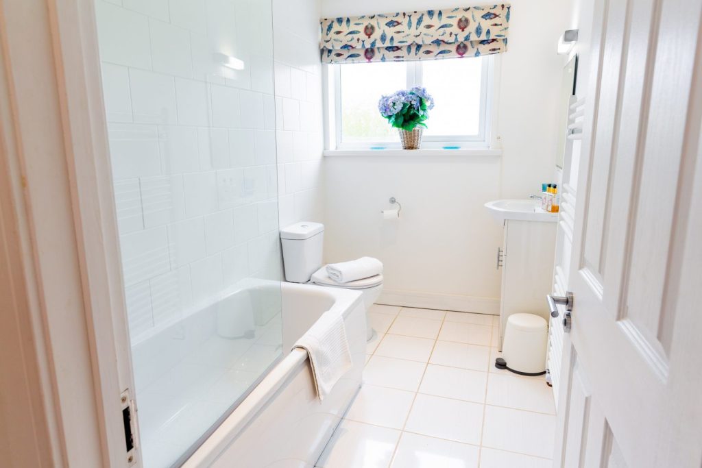 The Cottage St Davids Bathroom