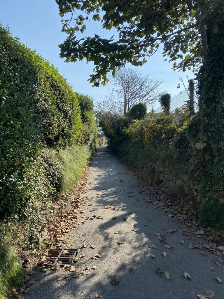 Ty Cosy St Davids Lane