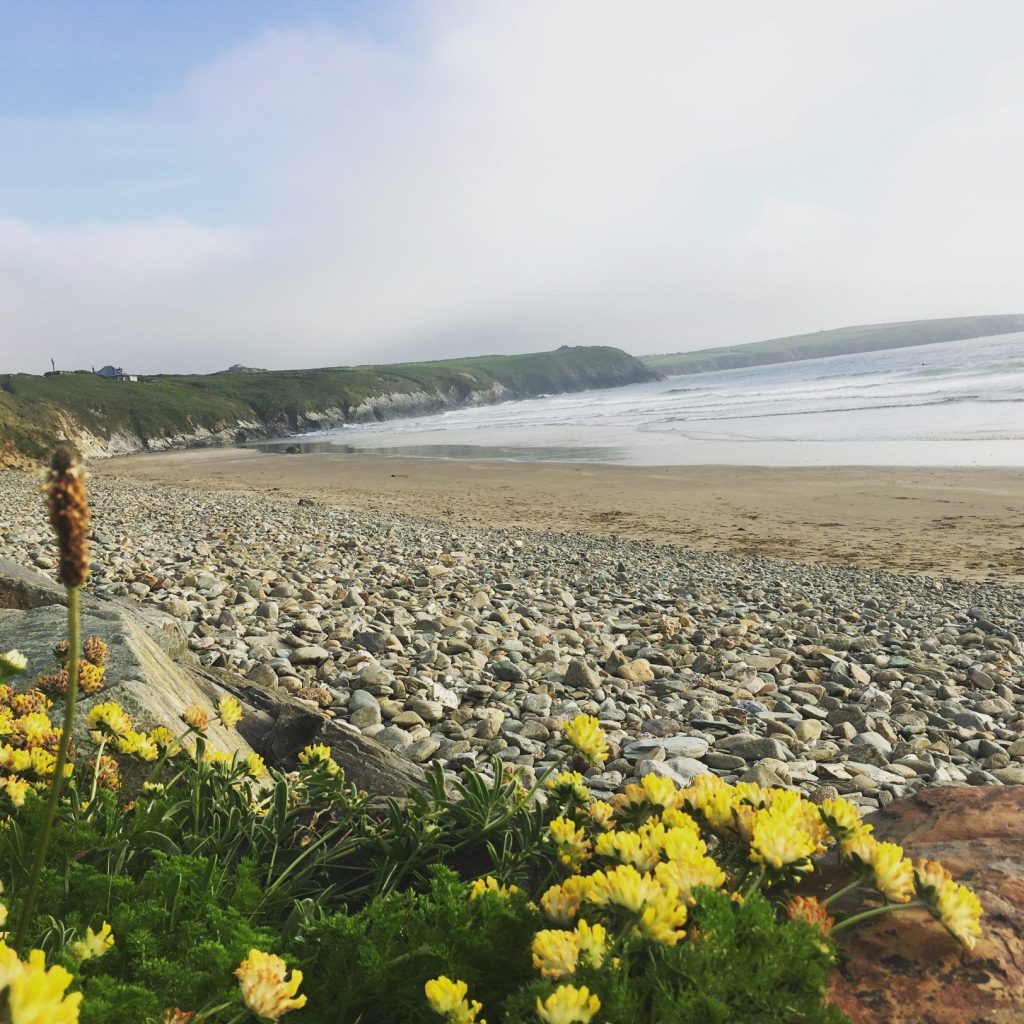 Whitesands Beach St Davids
