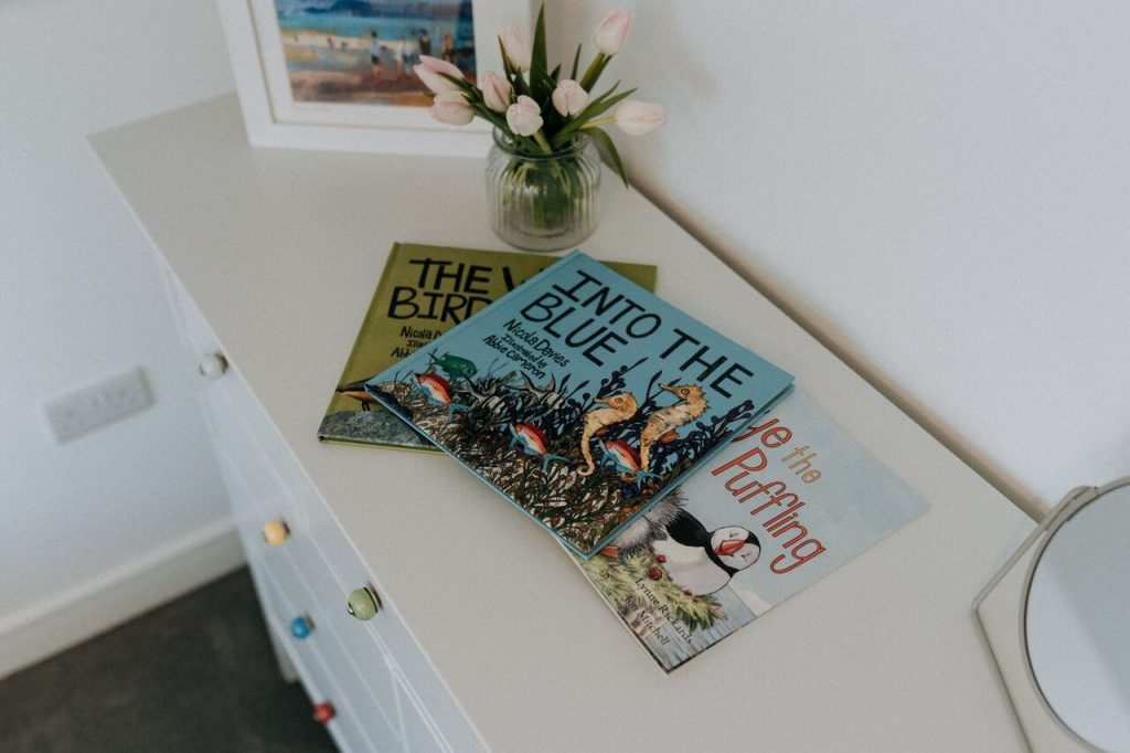 Y Mor St Davids Bedroom Books 
