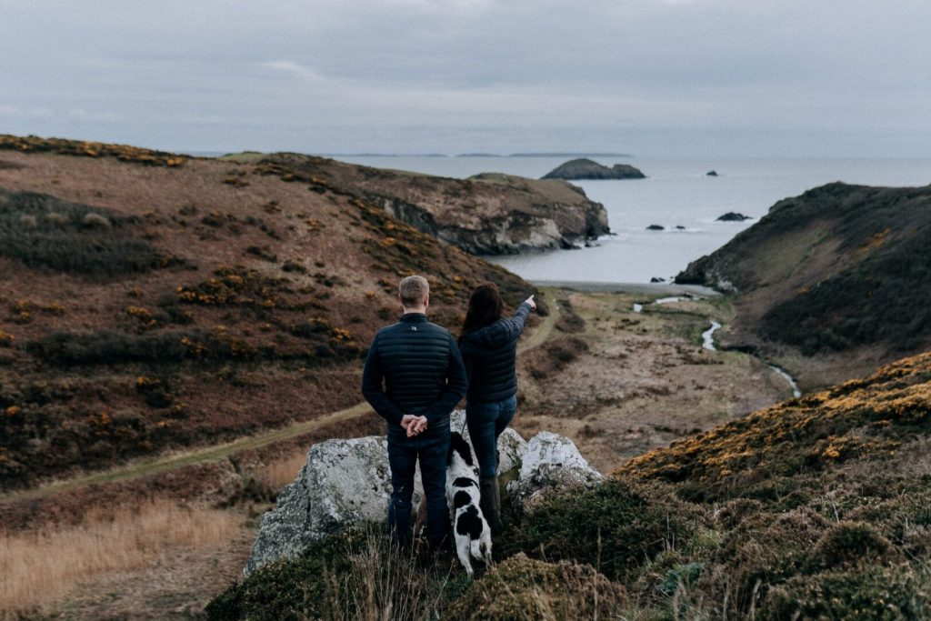 Wellfield Cottage Solva Clifftop Dog Walk 
