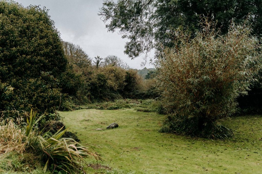 Wellfield Cottage Solva Garden 