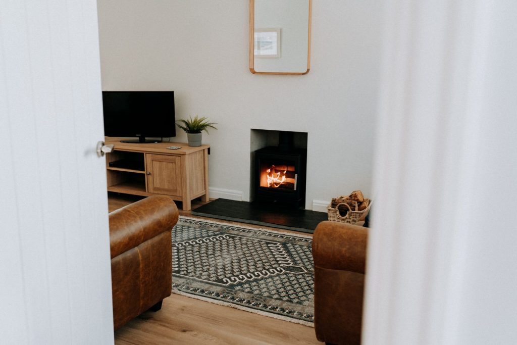 Headlands St Davids Log Burner