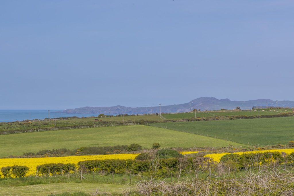 Joyful House Abereiddy Views