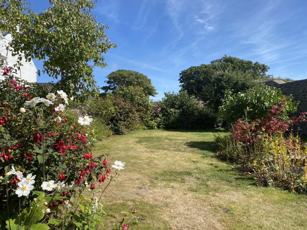Laurel Cottage St Davids Garden 2