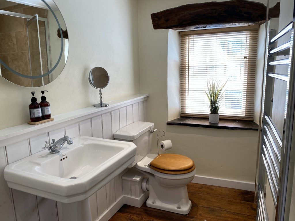 Nun Street Cottage St Davids Bathroom