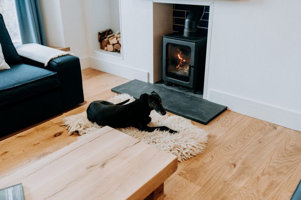 Paris House St Davids Living Room 5