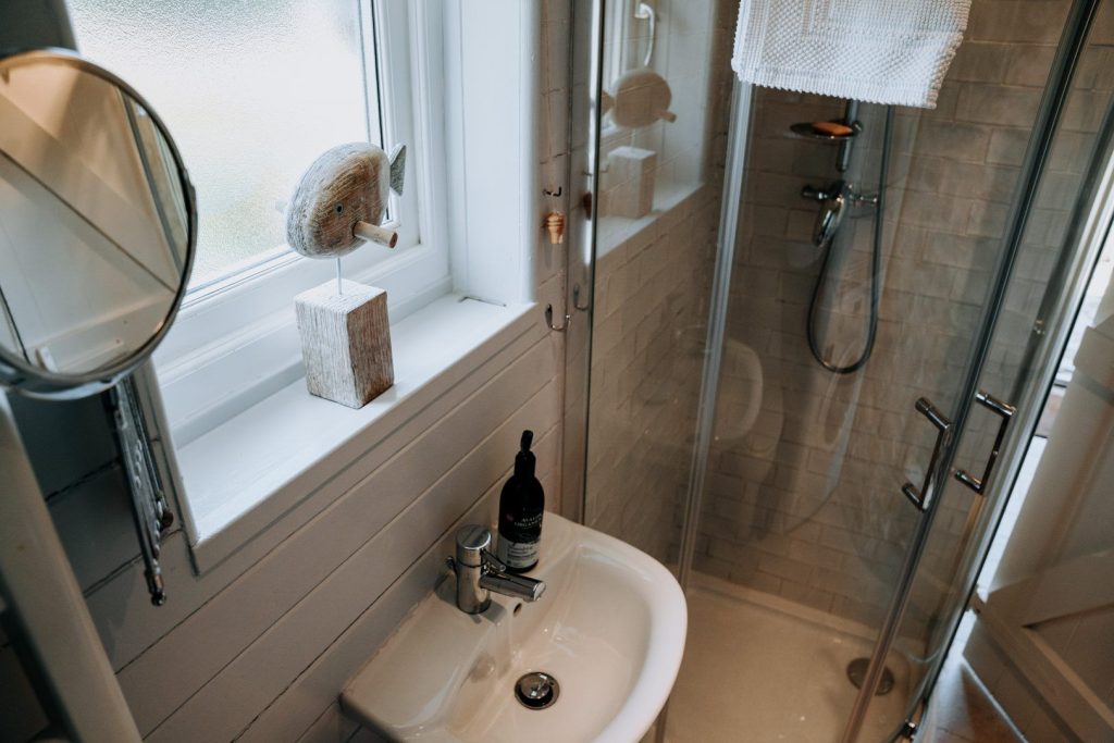 Rhodiad Mill St Davids Shower Room