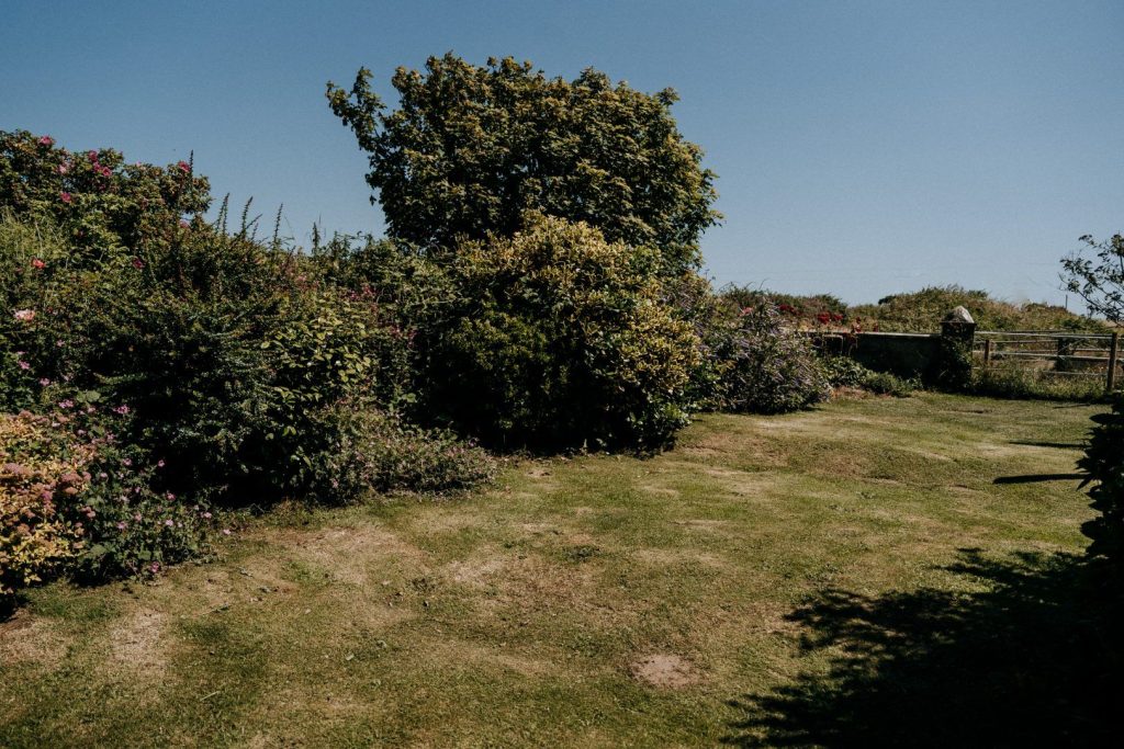 Summer Cottage St Davids Garden 3