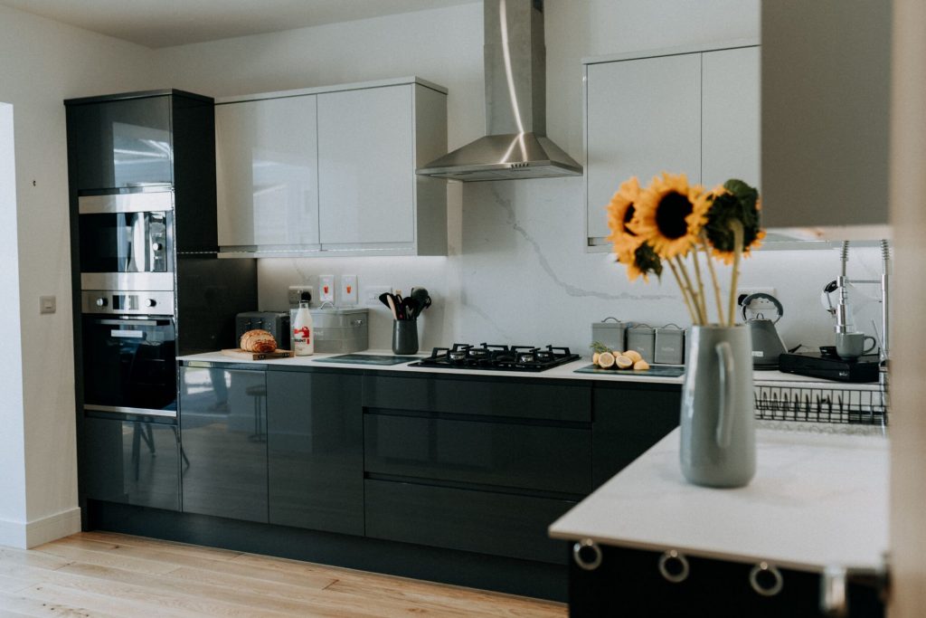 The Puffin Burrow St Davids Kitchen