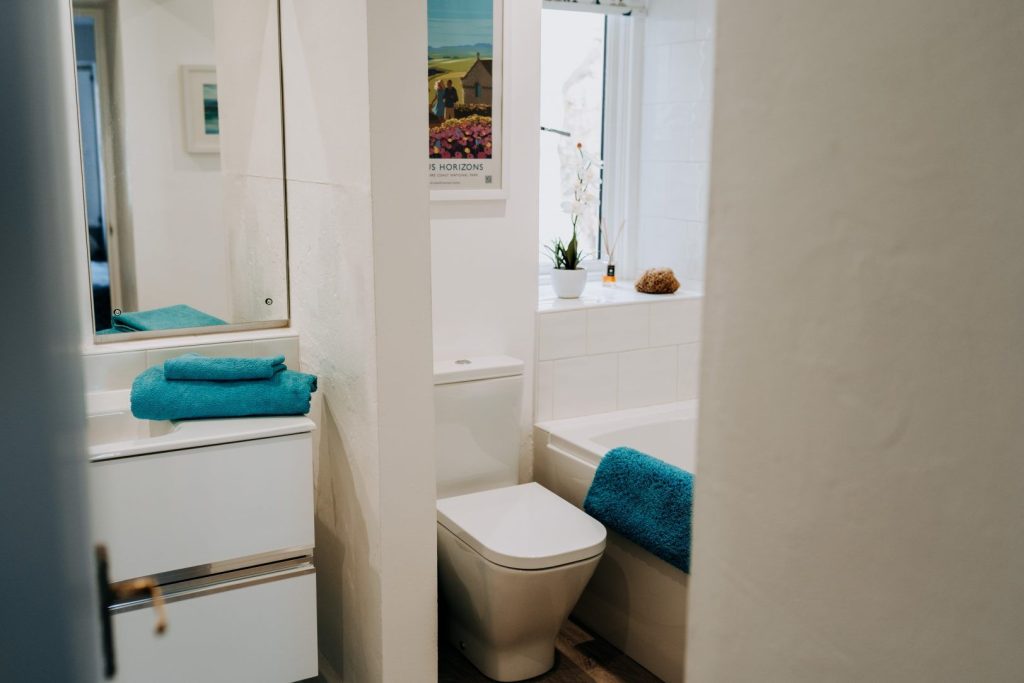 The Retreat St Davids Bathroom 2