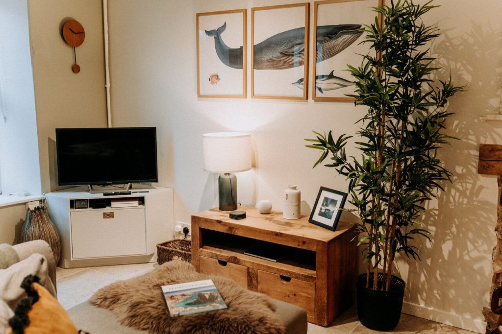 Ty Sara St Davids Lounge 5