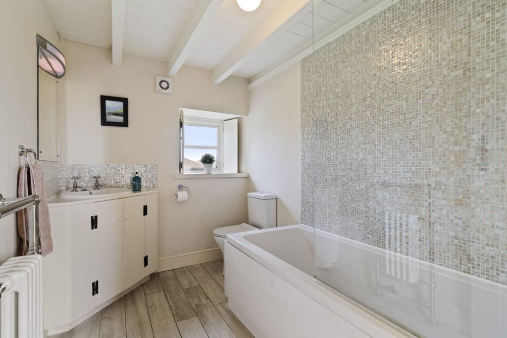 Wdig Wen Near St Davids Bathroom 2 