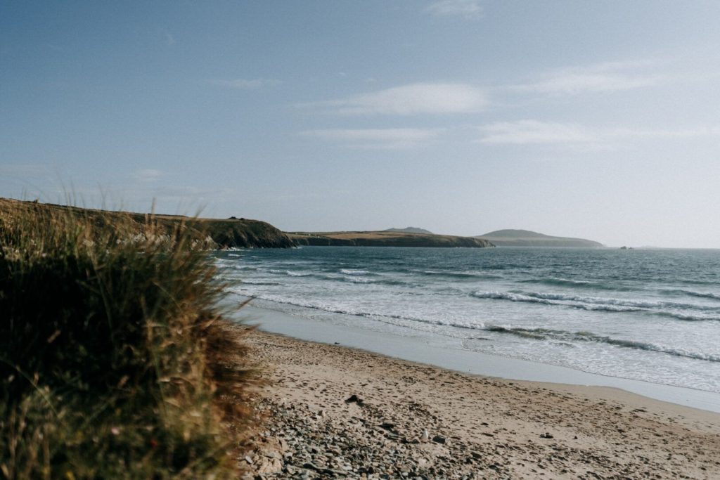 Wdig Wen Near St Davids Beach 2 