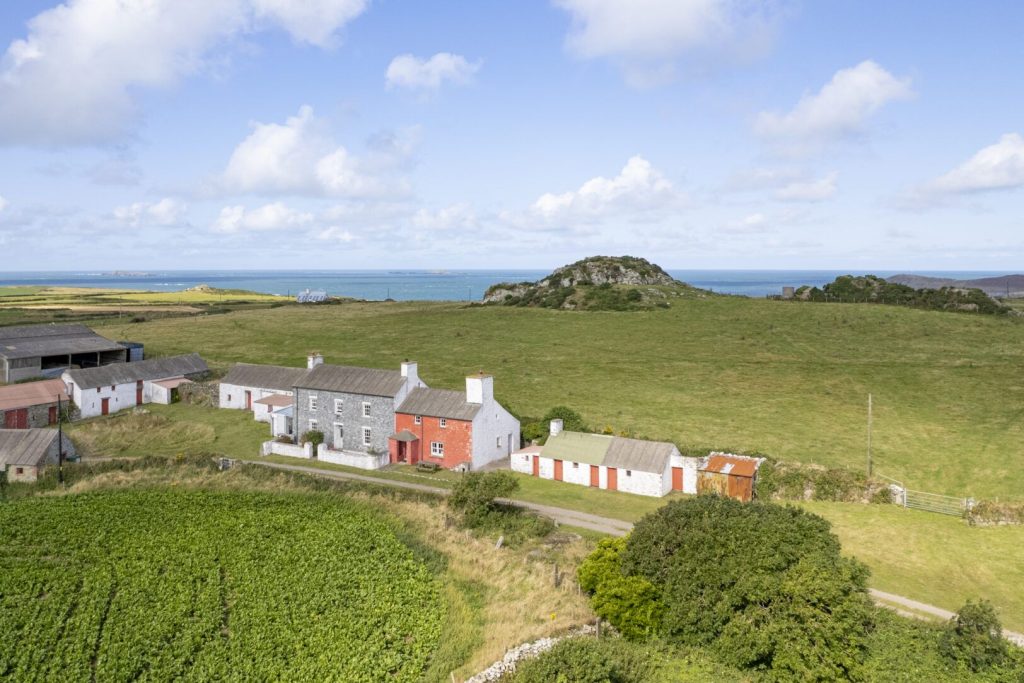 Wdig Cottage Near St Davids Aerial View 2