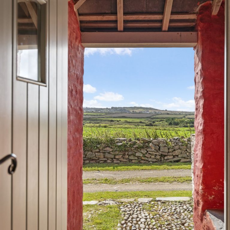 Wdig Cottage Near St Davids View