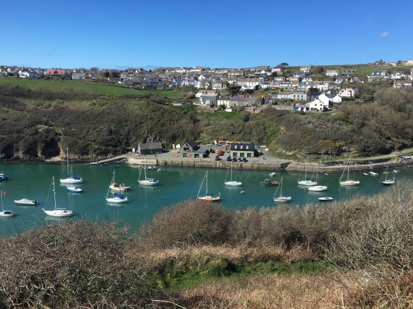 holiday in solva st davids escapes