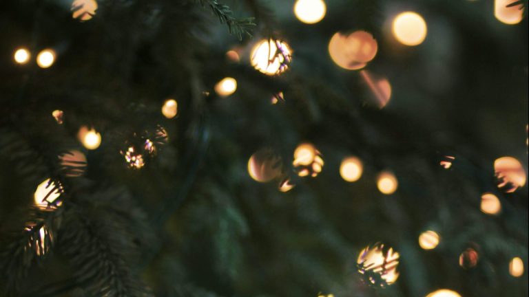 Christmas Twinkle Lights