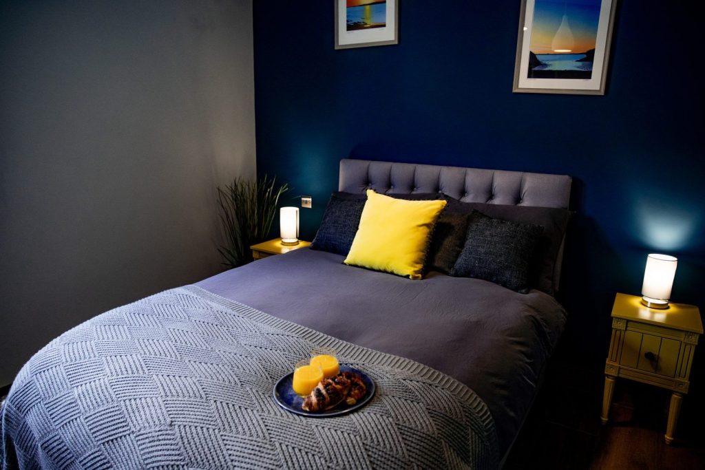 The Nest St Davids Double Bedroom 2