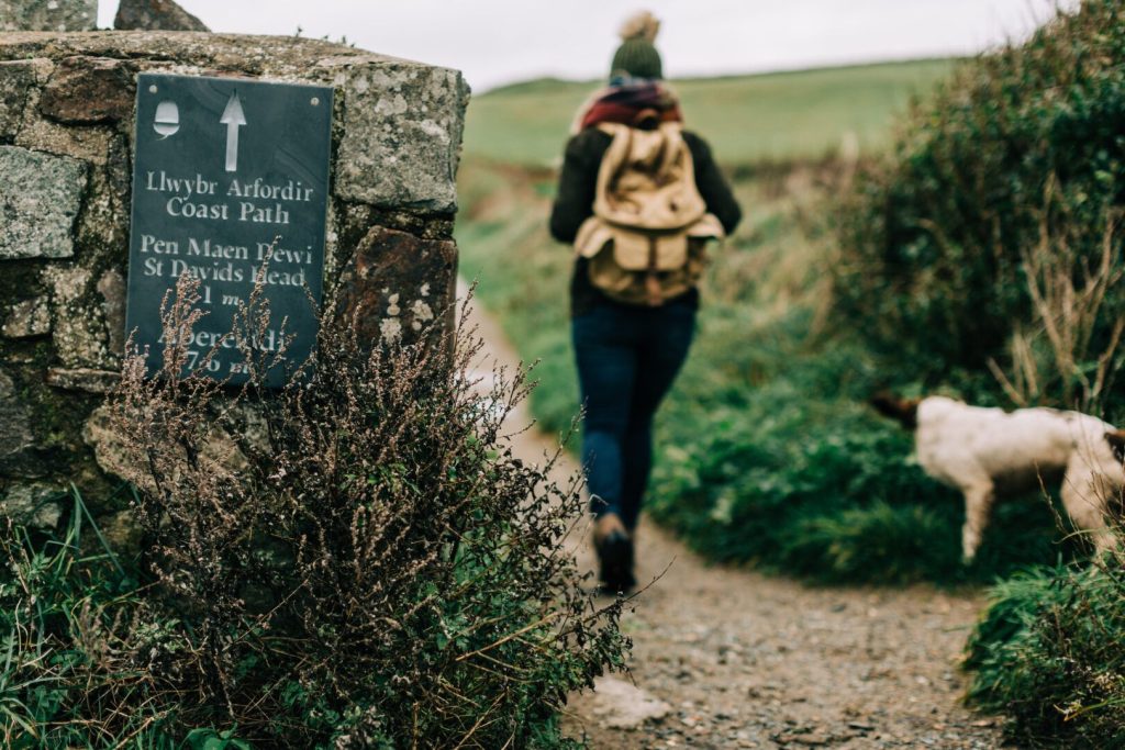 Coastal Paths Walks Dogs