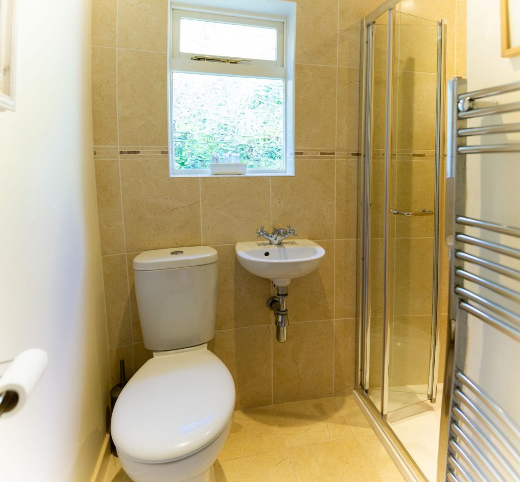 Brodawel Solva Shower Room