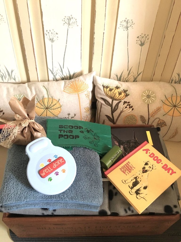 Ysgol Fach St Davids Dog Treats 