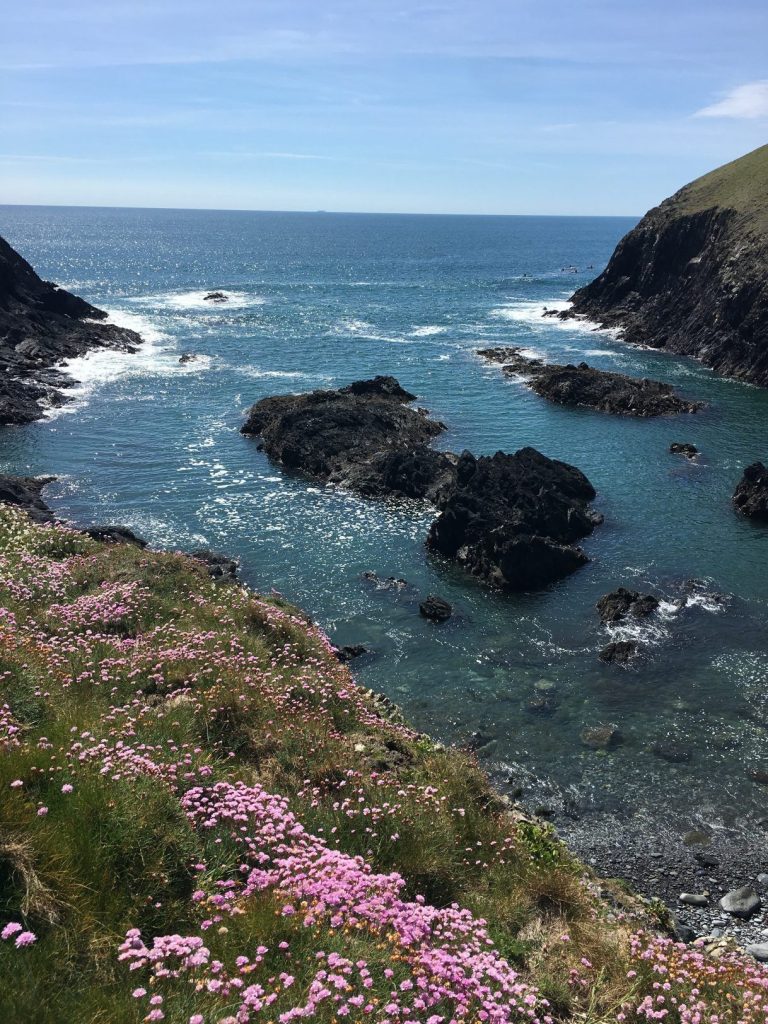 Yr-Hendy-St-Davids-Clifftops