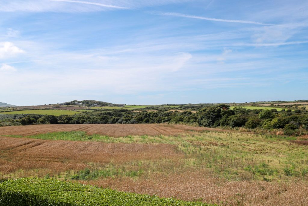 Lan Lofft St Davids Views 2