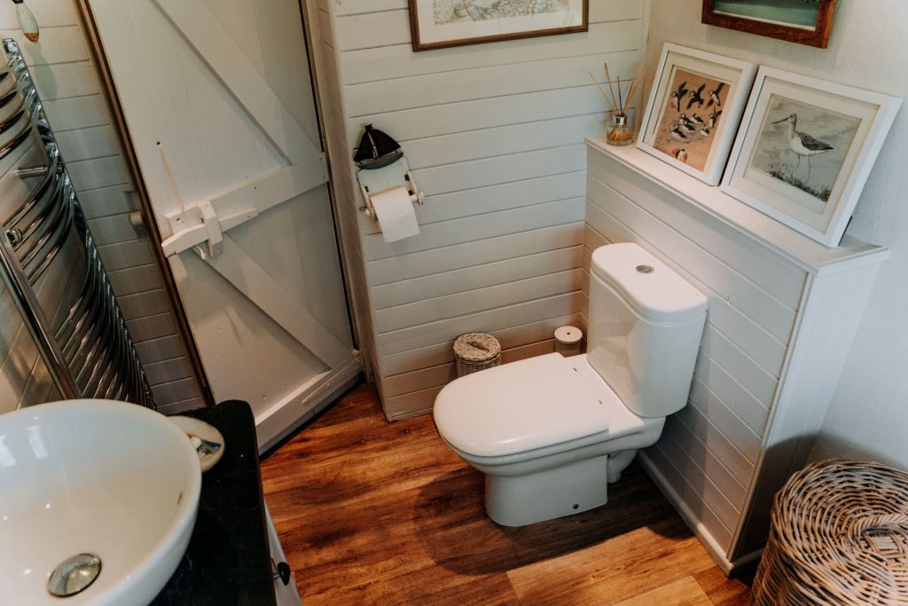 Rhodiad Mill St Davids Bathroom 2