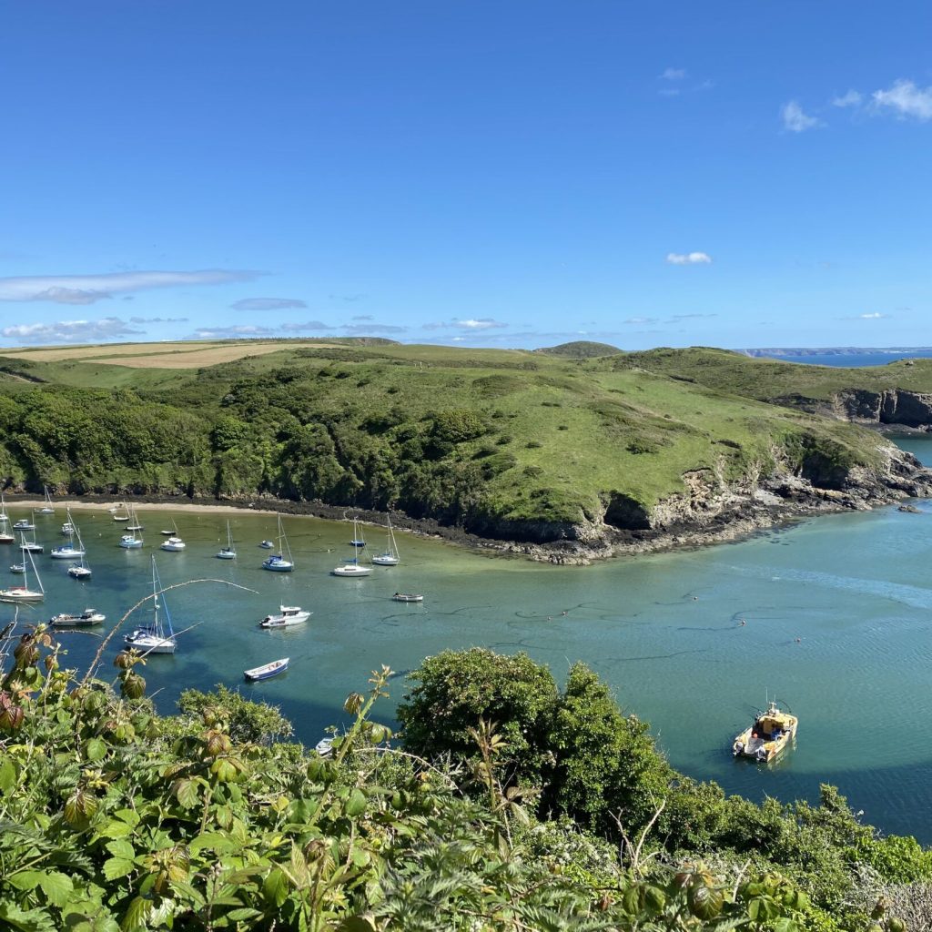 Wdig Wen Near St Davids Solva Harbour 