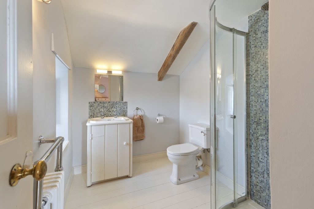 Wdig Farmhouse Near St Davids Shower Room 