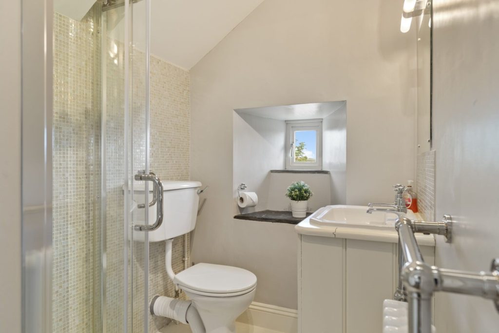 Wdig Cottage Near St Davids Bathroom 2 