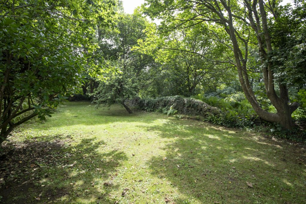 Tyr Wennol St Davids Extra Garden