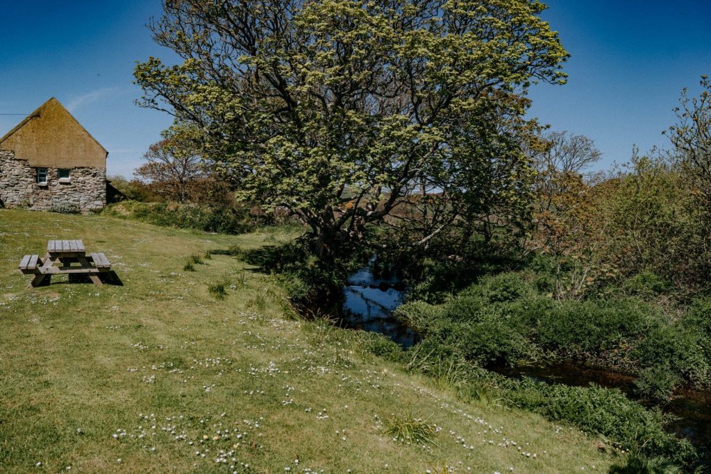 Rhodiad Mill St Davids Garden 2