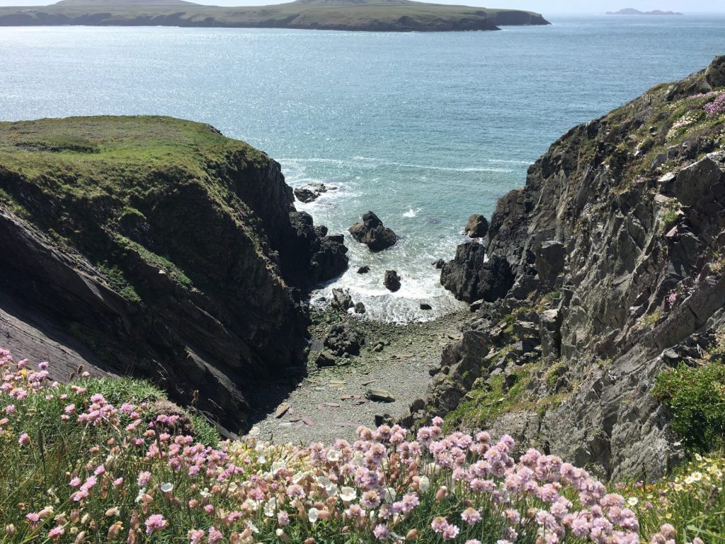 Coastal Path Views