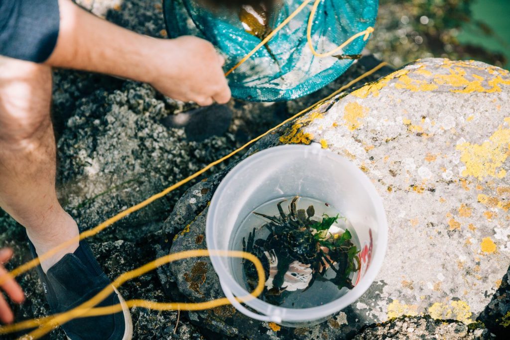 Crabbing